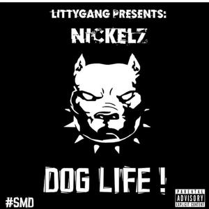 DOG LIFE! (Explicit)