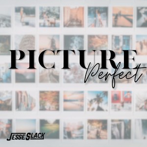 Picture Perfect