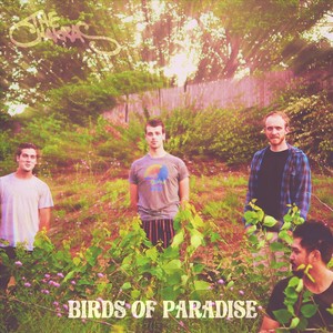 Birds of Paradise (Explicit)