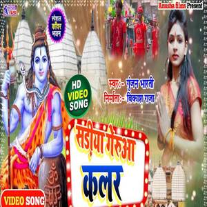 Sadiya Gerua Rang Color