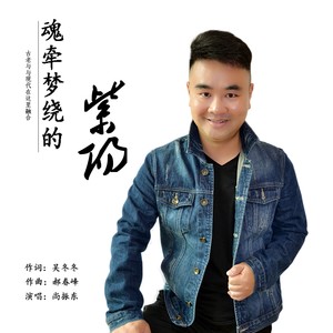 魂牵梦绕的紫阳