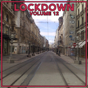 Lock Down Vol. 12