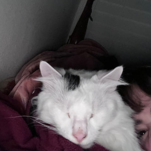 blind in agony (Extended)