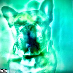 Took Us (feat. Geak) (Explicit)