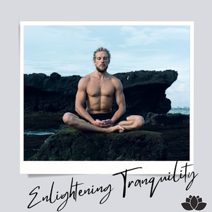 Embracing Stillness