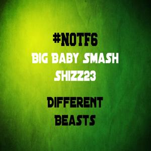 Different Beasts (feat. Shizz 23) [Explicit]