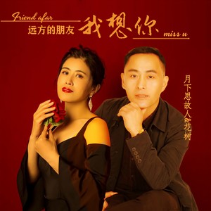远方的朋友我想你 (DJ默涵对唱版)