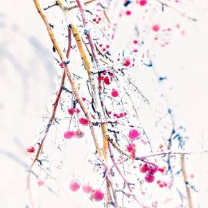 За 5 минут (Explicit)