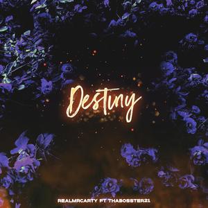 Destiny (feat. Thabosster21) [Explicit]