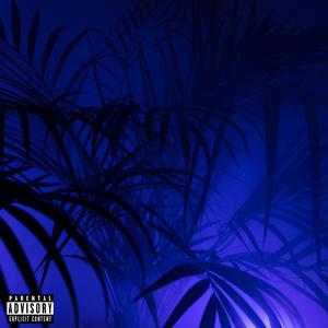 Pure soul(feat. Baya) (Explicit)