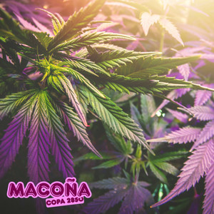 Macoña - Copa Cannábica 2850 (Explicit)