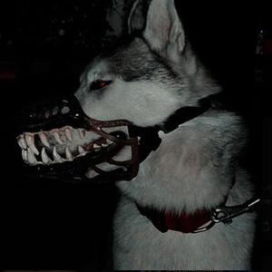 MACHINEGUTS (Explicit)