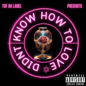 Didn't Know How To Love (feat. Blahzae)
