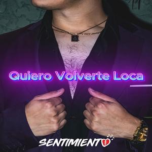 Quiero Volverte Loca