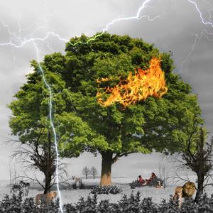 T.O.L Intro (Explicit)