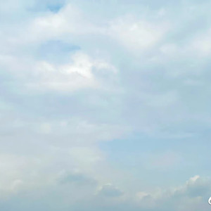 听说爱情回来过 (Live)