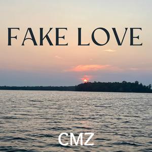 FAKE LOVE (feat. Ty Wynne) (Explicit)