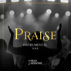 Praise Instrumental, Vol. 4