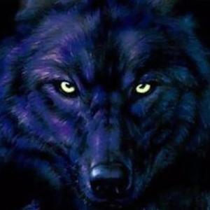 Beast Coast(feat. Gōst Magik) (Explicit)