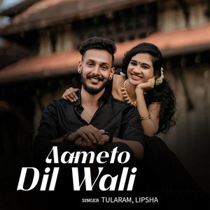 Aameto Dil Wali