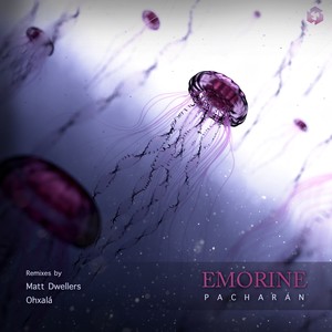 Polaroid (Matt Dwellers Remix)