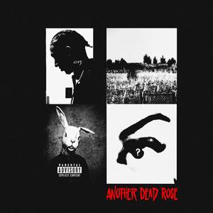 ANOTHER DEAD ROSE (THE EP) [Explicit]