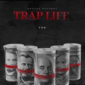 Trap Life (Explicit)