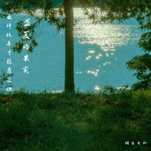 盛夏的果实(也许放弃才能靠近你)-烟嗓大叔