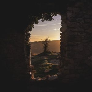 葡萄成熟时-叶子舒