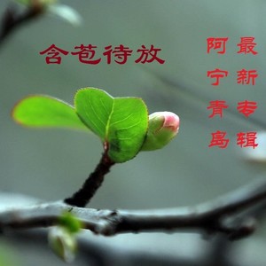 青岛的雨