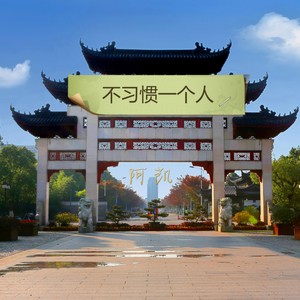 爱是穿肠的毒药 (DJ版)