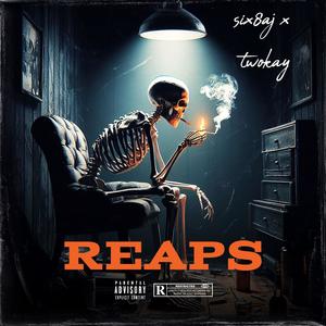 Reaps (feat. Twokay) [Explicit]