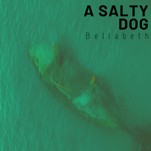 A Salty Dog