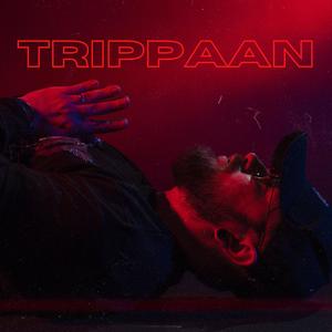 Trippaan