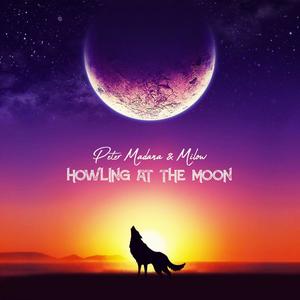 Howling at the Moon(feat. Milow)