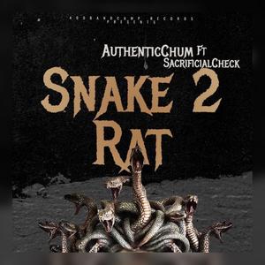 Snake 2 Rat (feat. Sacrificial Check) [Explicit]