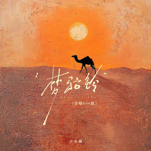 梦驼铃 (合唱live版)