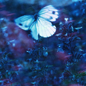 哪里都是你 (lnst)