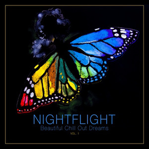 Nightflight (Beautiful Chill out Dreams), Vol. 1