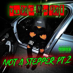 Not A Stepper Pt. 2 (Explicit)