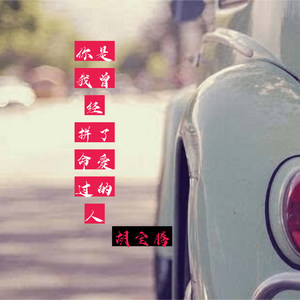 你是我曾经拼了命爱过的人