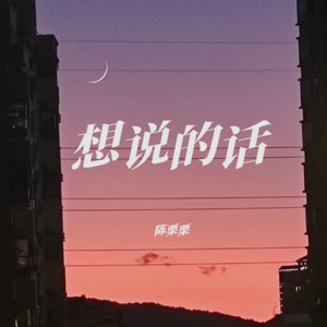 想说的话