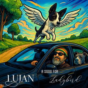 A song for Lady Bird