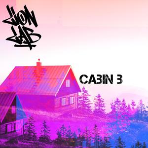 Cabin 3