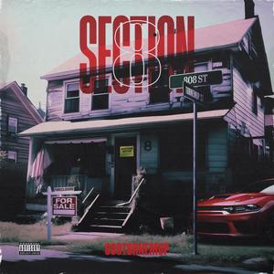 Section 8 (Explicit)