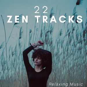 22 Zen Tracks: Relaxing Music for Serene Dreams, Deep Sleep, Stress Relief, Ambient Music Therapy with Nature Sounds