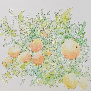 face first in the dirt (Explicit)