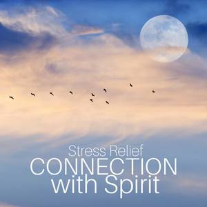 Connection with Spirit - Blissful Music for Holistic Mind, Buddha Wisdom, Stress Relief