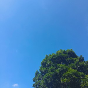 我说我爱你 (Demo)