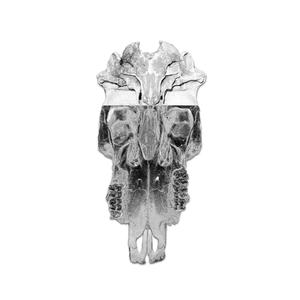 Squanch Szn (Explicit)